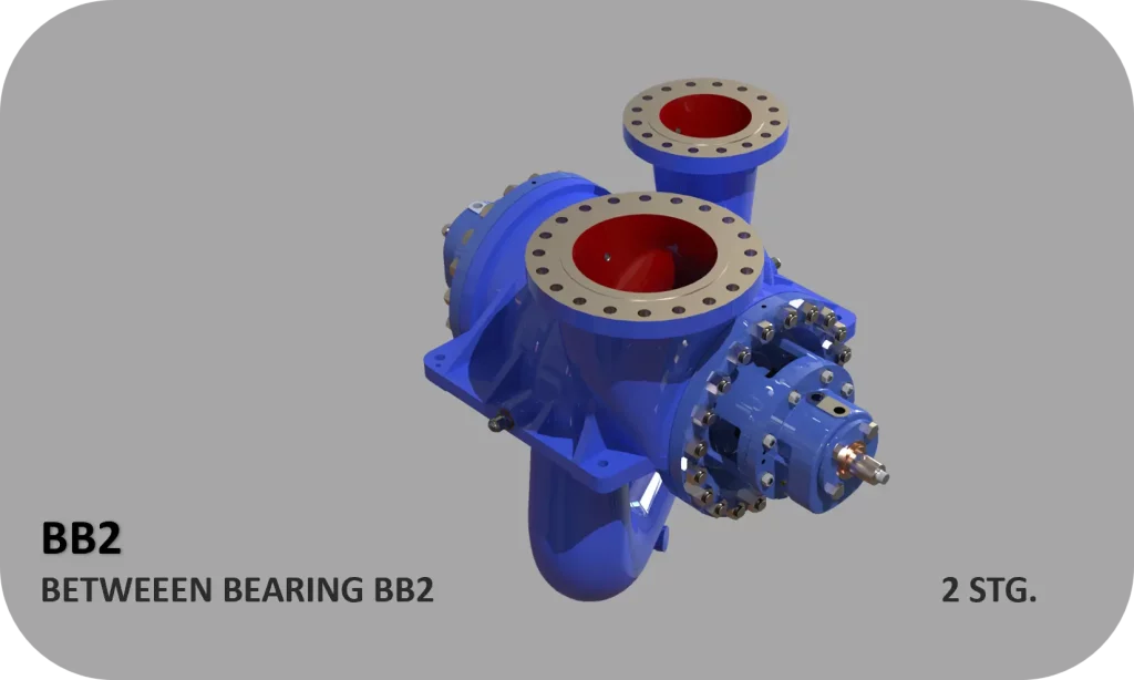 BB2-apicompany